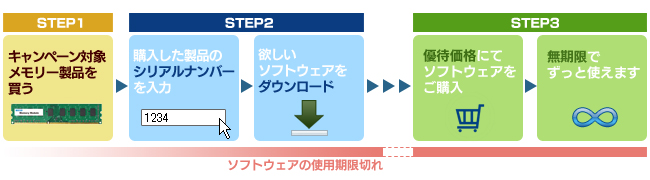 キャンペーン概要
