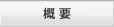 概要