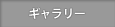 ギャラリー