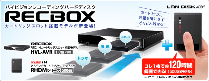 エコポイント対象！マルチに使える地デジワイド登場。