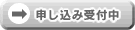 �X�g���[�W�t�F�A���\������