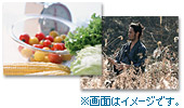 �����Z�O���������Ŋy���߂�uNHK �����Z�O2�v�̓���