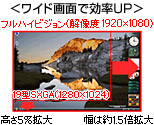 ���C�h��ʂŌ���UP