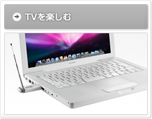 TV���y����