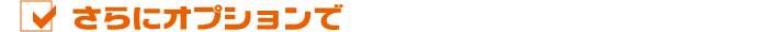 ����ɃI�v�V������