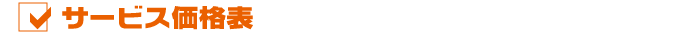 �T�[�r�X���i�\
