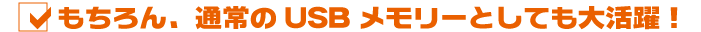 �������A�ʏ��USB�������[�Ƃ��Ă��劈��I