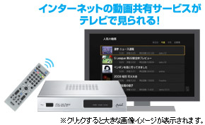 インターネットの動画共有サービスがテレビで見られる！