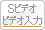 Sビデオ ビデオ入力