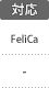 対応カード：FeliCa