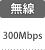 無線速度：300Mbps