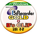 B's Recorder GOLD for Windows