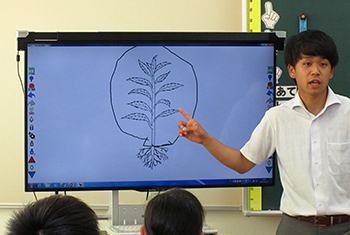 植物の酸素と二酸化炭素の動きを示す教材（白板ソフトにて作成）木場先生