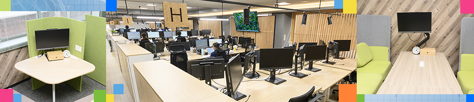 Type-C&デイジーチェーン対応 23.8型液晶ディスプレイ「LCD-BC241DB-F」導入事例【税理士法人】