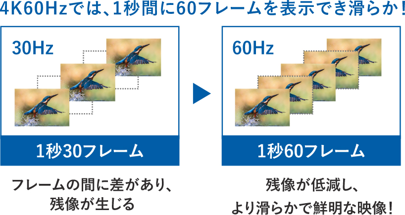 動画教材やオンライン教材を、鮮明に滑らかに表示するカギは表示フレーム数