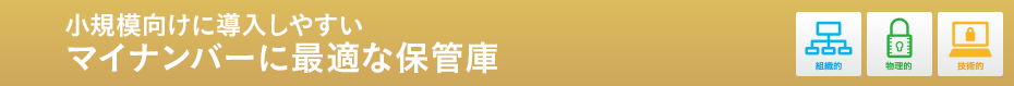 小規模向けに導入しやすいマイナンバーに最適な保管庫