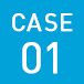 CASE01