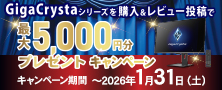 えらべるPay最大5,000円キャンペーン