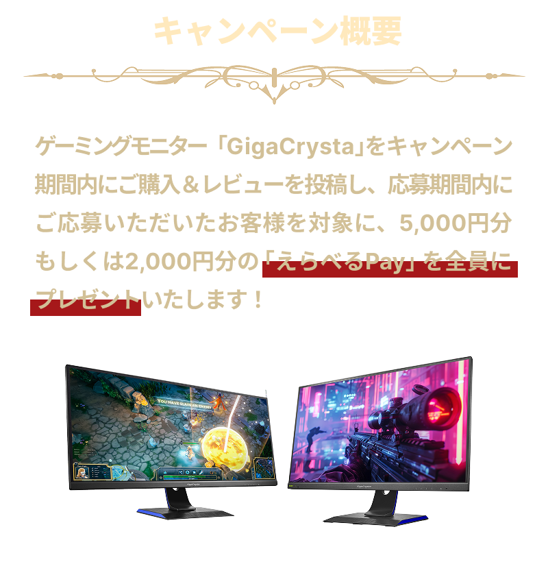 キャンペーン概要