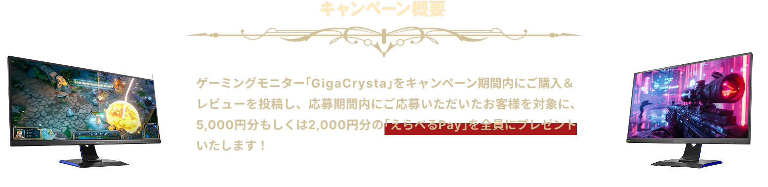 キャンペーン概要