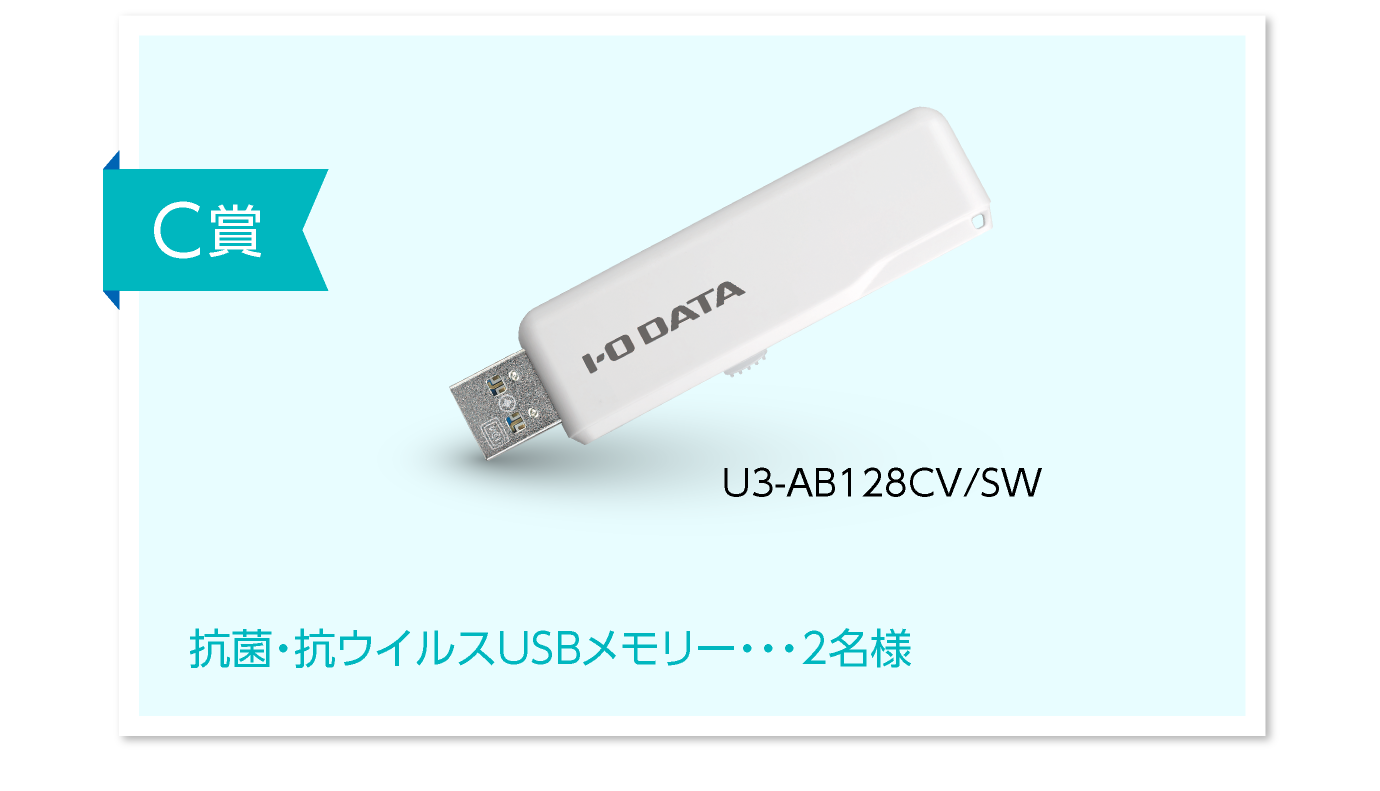 U3-AB128CV/SW