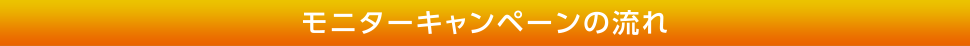 モニターキャンペーンの流れ