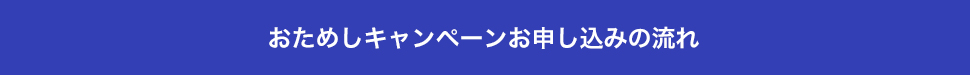おためしキャンペーンお申し込みの流れ