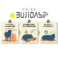牛の起立困難予防声かけAIサービス「BUJIDAS（ブジダス）」