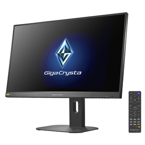GigaCrysta(ギガクリスタ)について