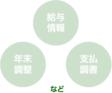 給与情報・年末調整・支払調書など