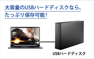 パソコンとつないだUSBハードディスクへ、たっぷり長時間の録画も可能