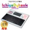 プログラミング教材「IchigoDyhook」