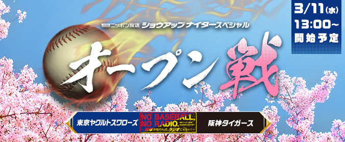 プロ野球オープン戦ヤクルトvs阪神