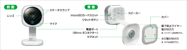 外部名称