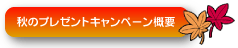 H̃v[gLy[Tv