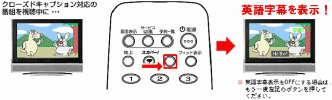 XJp[I̎