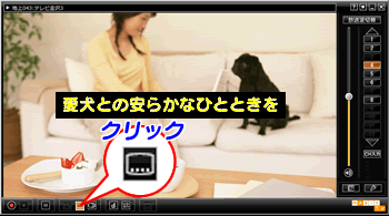 {^NbN