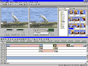 image2.gif (19919 oCg)