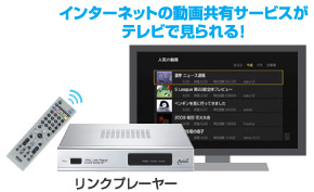 インターネットの動画共有サービスがテレビで見られる！