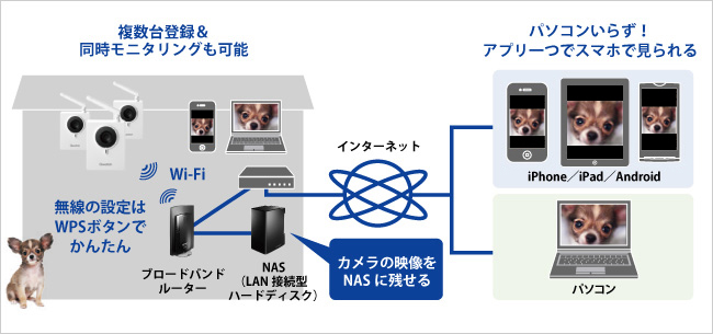 写真／動画をLAN接続型ハードディスクに保存可能