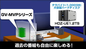 GV-MVP/RX3 | | IODATA アイ・オー・データ機器