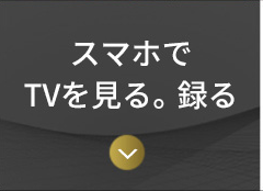 テレビを見る。録る。