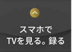 テレビを見る。録る。