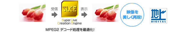 ハイビジョンを美しく再現する「Super Live Creation Engine」搭載 [地デジのみ]