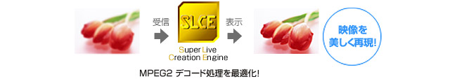 ハイビジョンを美しく再現する「Super Live Creation Engine」搭載