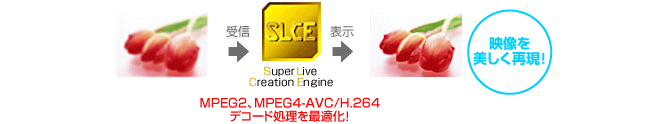 ハイビジョン映像を美しく再現「Super Live Creation Engine 2」