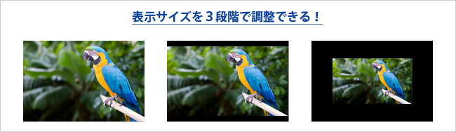 表示サイズを3段階で調整できる