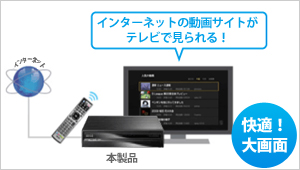 インターネットの投稿動画サイトが大画面のテレビで見られる！