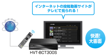 インターネットの投稿動画サイトがテレビで見られる！