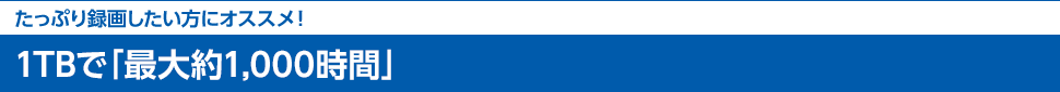 たっぷり録画したい方にオススメ！ 1TBで「最大約1,000時間」